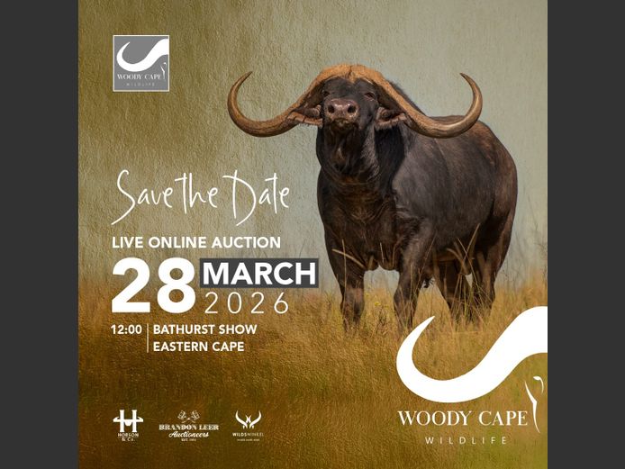 WOODY CAPE WILDLIFE AUCTION