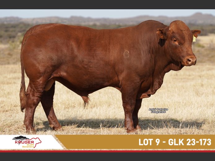 GLK230173 | KRUGER GLEN BONSMARAS
