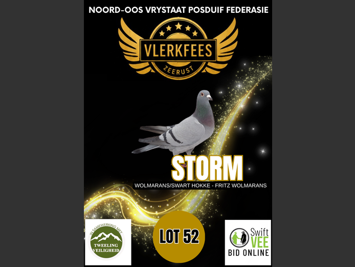 STORM | WOLMARANS/SWART HOKKE - FRITZ WOLMARANS