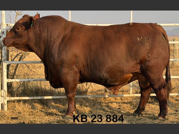KB23884