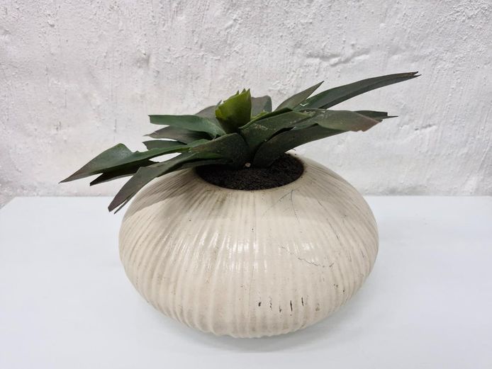 Ribbed White Ceramic Planter with Artificial Succulent