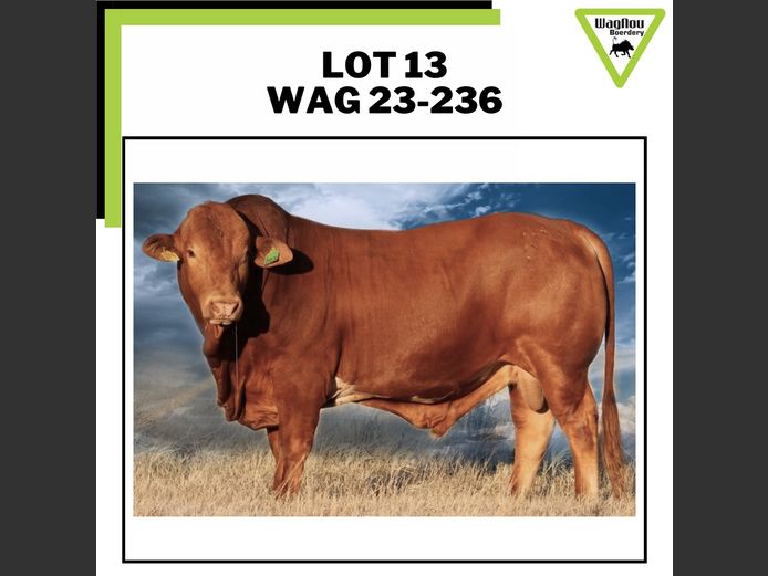 WAG 230236 | WAGNOU BOERDERY