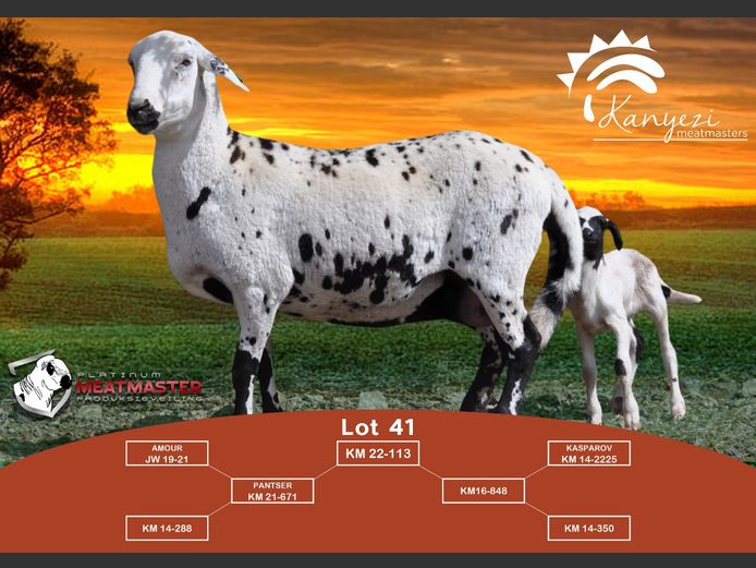 KM 22-113 | Barry & Naledi Roberts - Kanyezi Meatmasters, Nelspoort