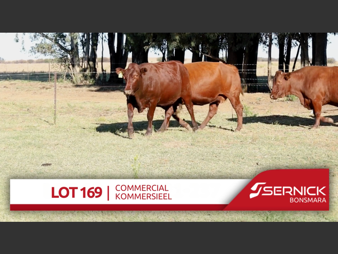 Commercial Animals