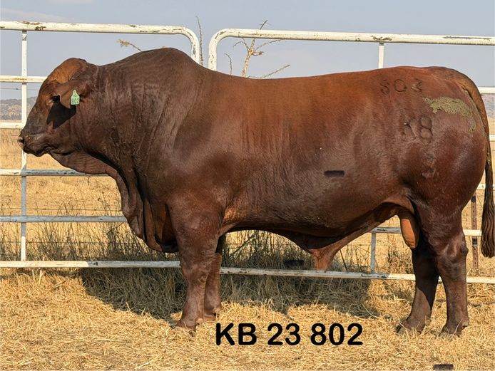 KB23802