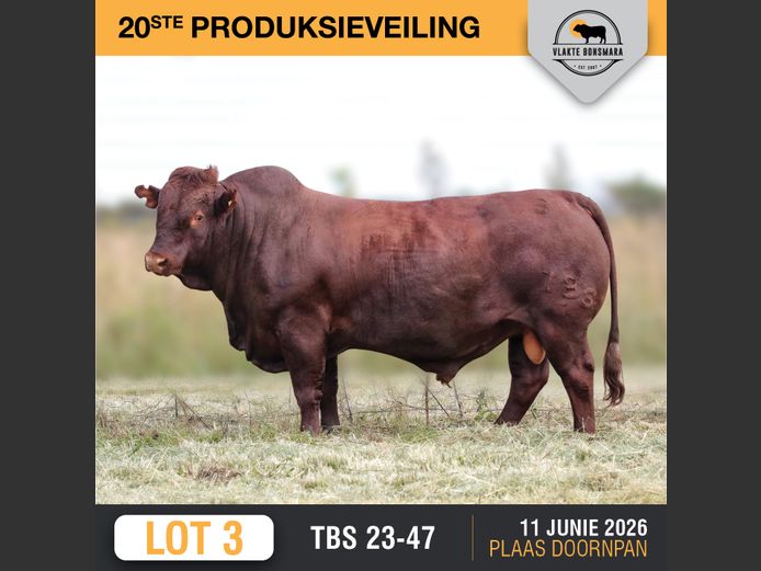 TBS230047 | THABA KWENA BONSMARAS