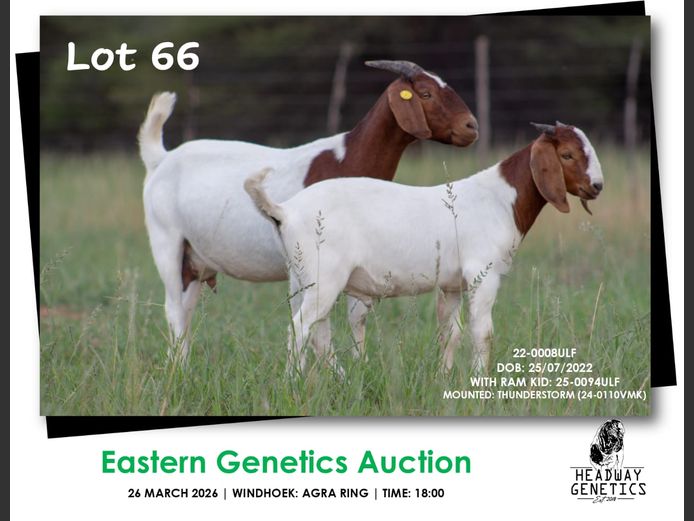 22-0008ULF | HEADWAY GENETICS