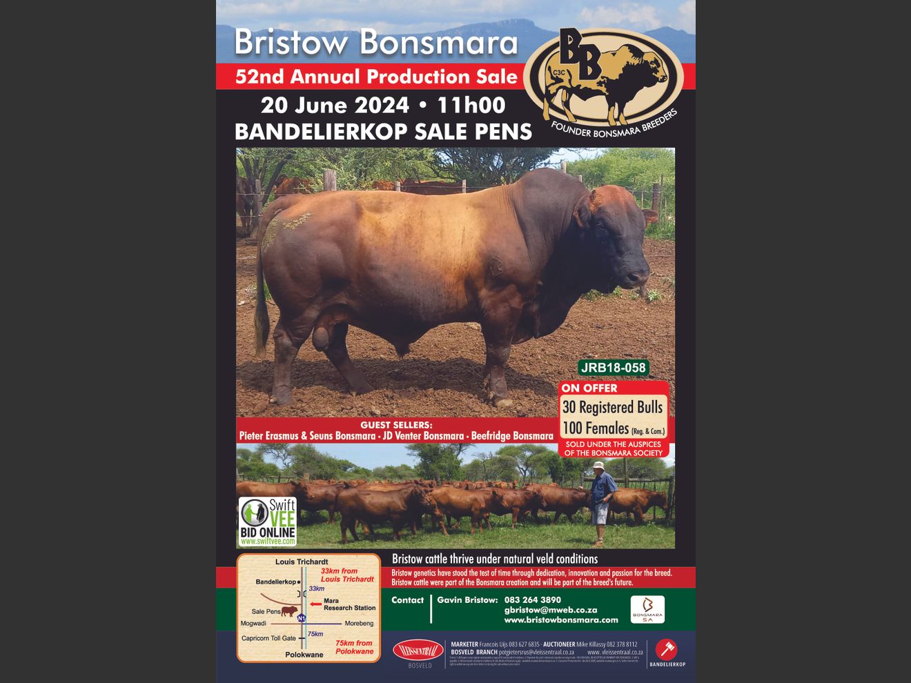 Lot 1A BRISTOW BONSMARA 52ND ANNUAL PRODUCTION SALE SwiftVEE Livestock & Cattle cast