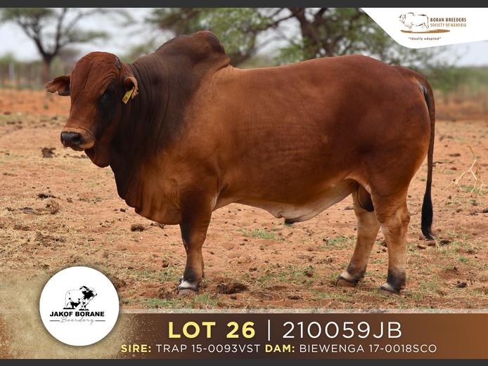 21-0059JB | JAKOF BARONE