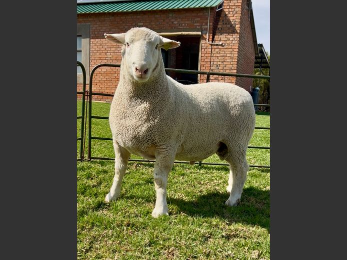 DH 240067 | HEYMAN DORMERS