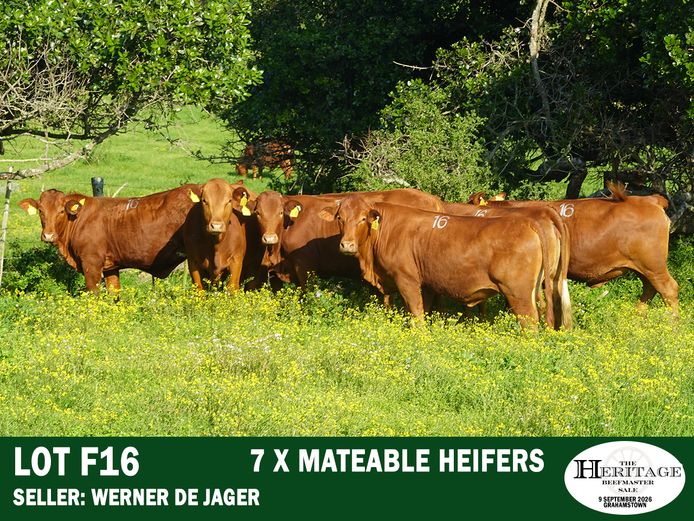 Commercial Animals | Werner ⁠de Jager