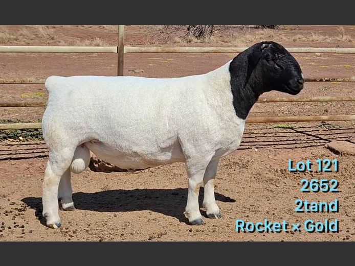 2652 | Louis de Scande