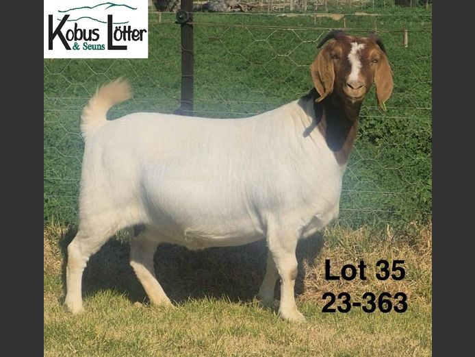 1384230363 | DIRK LOTTER