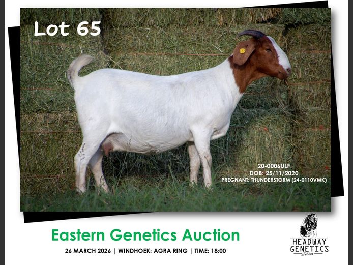 20-0006ULF | HEADWAY GENETICS