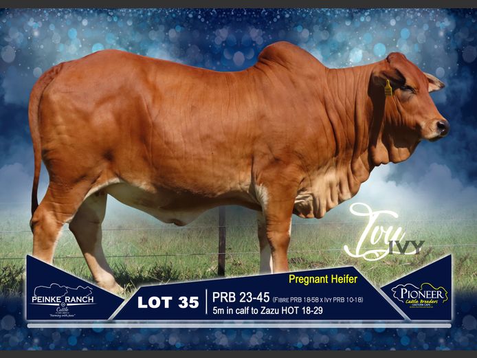 PRB 230045 | PEINKE RANCH