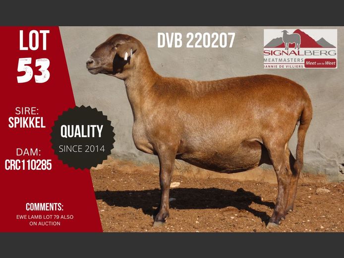 DVB 220207 | SIGNALBERG MEATMASTERS