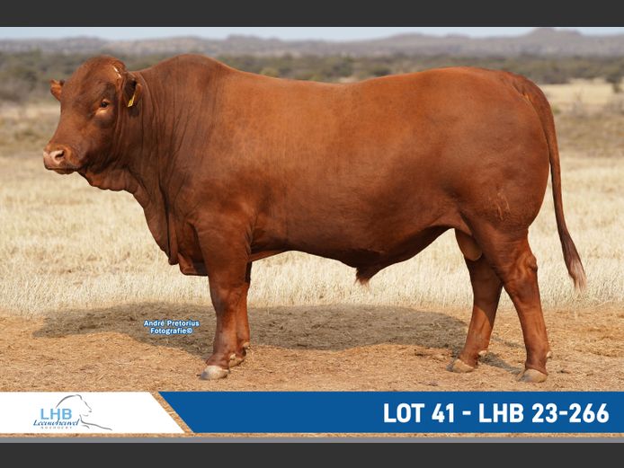 LHB230266 | LEEUHEUWEL BOERDERY (EDMS) BPK