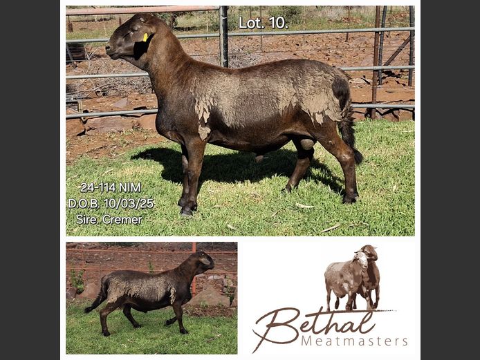 24-114 NIM | BETHAL MEATMASTERS