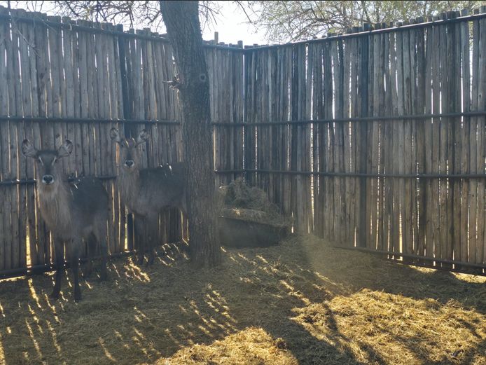 WATERBOK | HANLEY