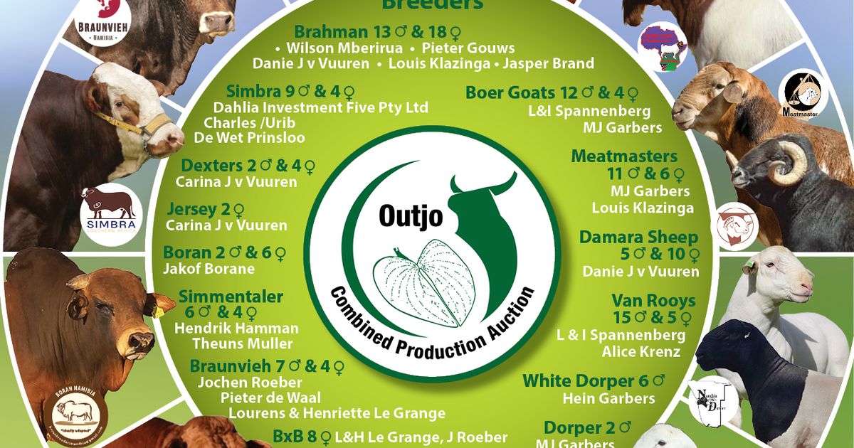 OUTJO JOINT PRODUCTION AUCTION | SwiftVEE | South Africa’s Leading ...