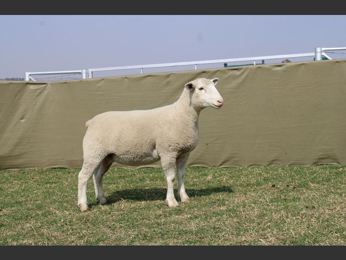 CVM 240061 | KALKVLEY DORMERS