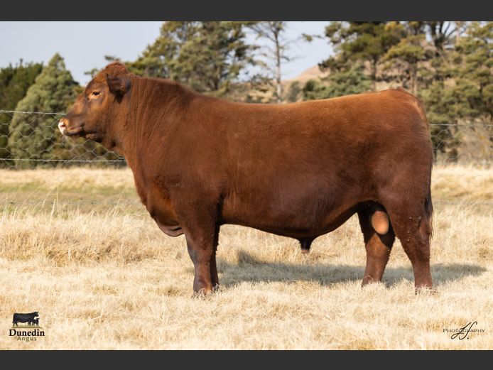 KCM 230069 | TABLE HILL FARMING PTY LTD