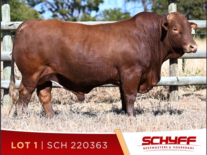 SCH 220363