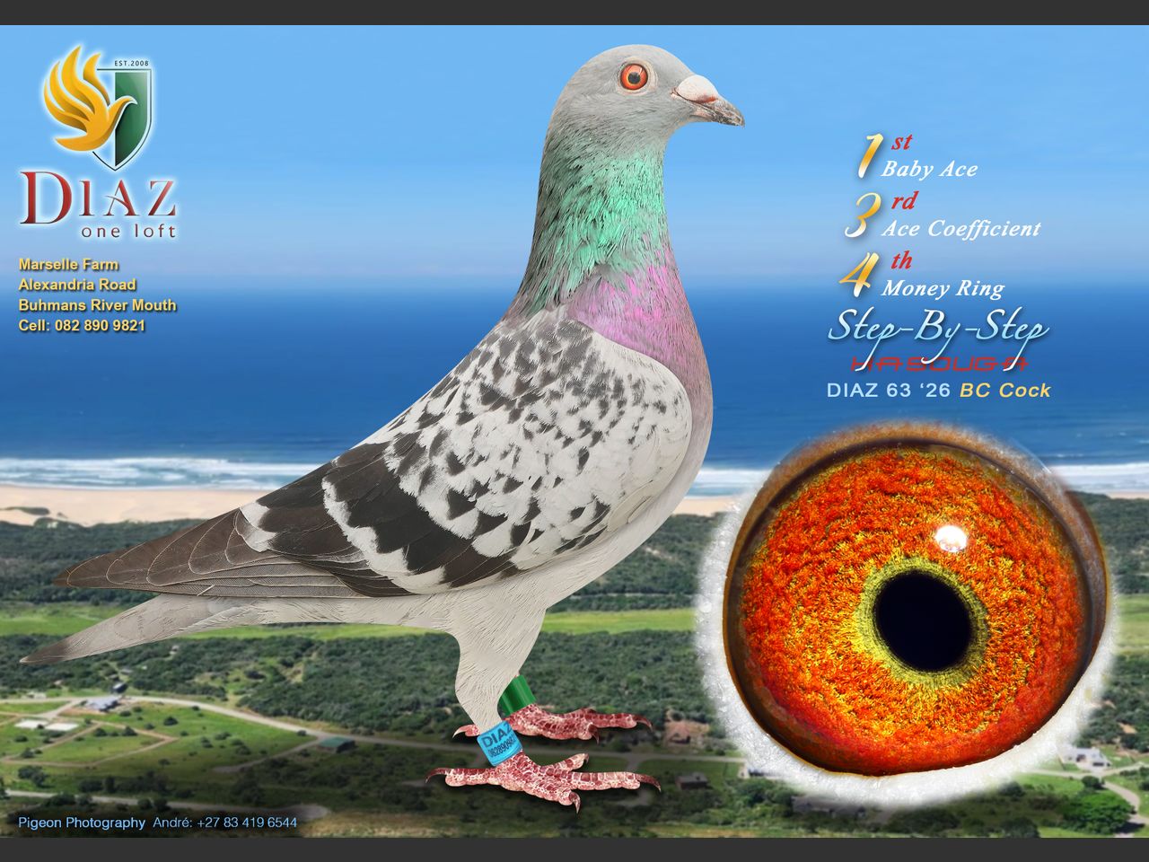 images