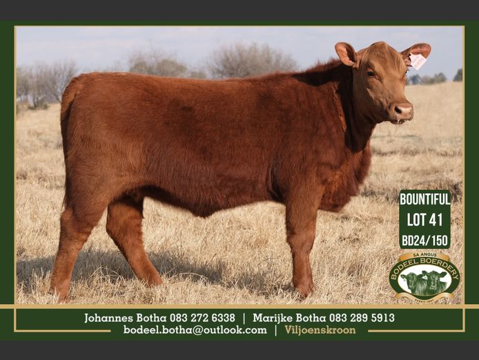 BD 240150 | BODEEL BOERDERY