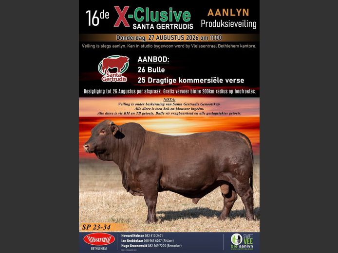 SANTA GERTRUDIS X CLUSIVE 16DE PRODUKSIEVEILING