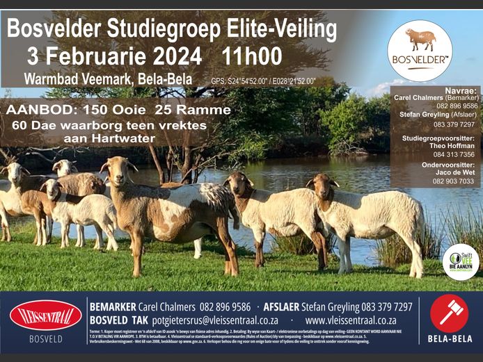 BOSVELDER STUDIEGROEP ELITE-VEILING