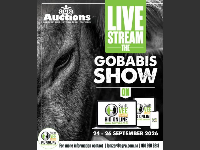 GOBABIS SHOW 2026