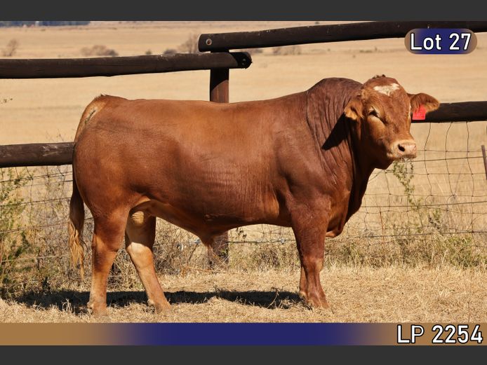 LP2254C | MARATANA BOERDERY 