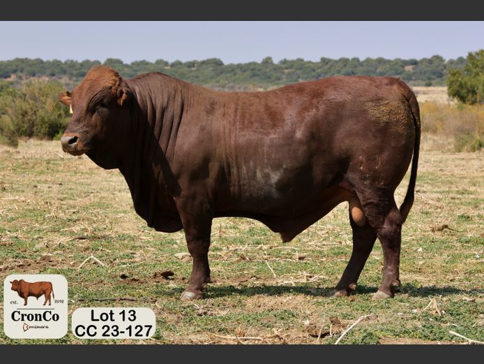 CC 230127 | CRONCO AGRI