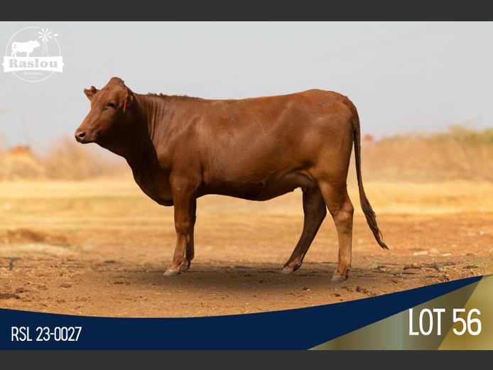 RSL 230027 | RASLOU BONSMARAS