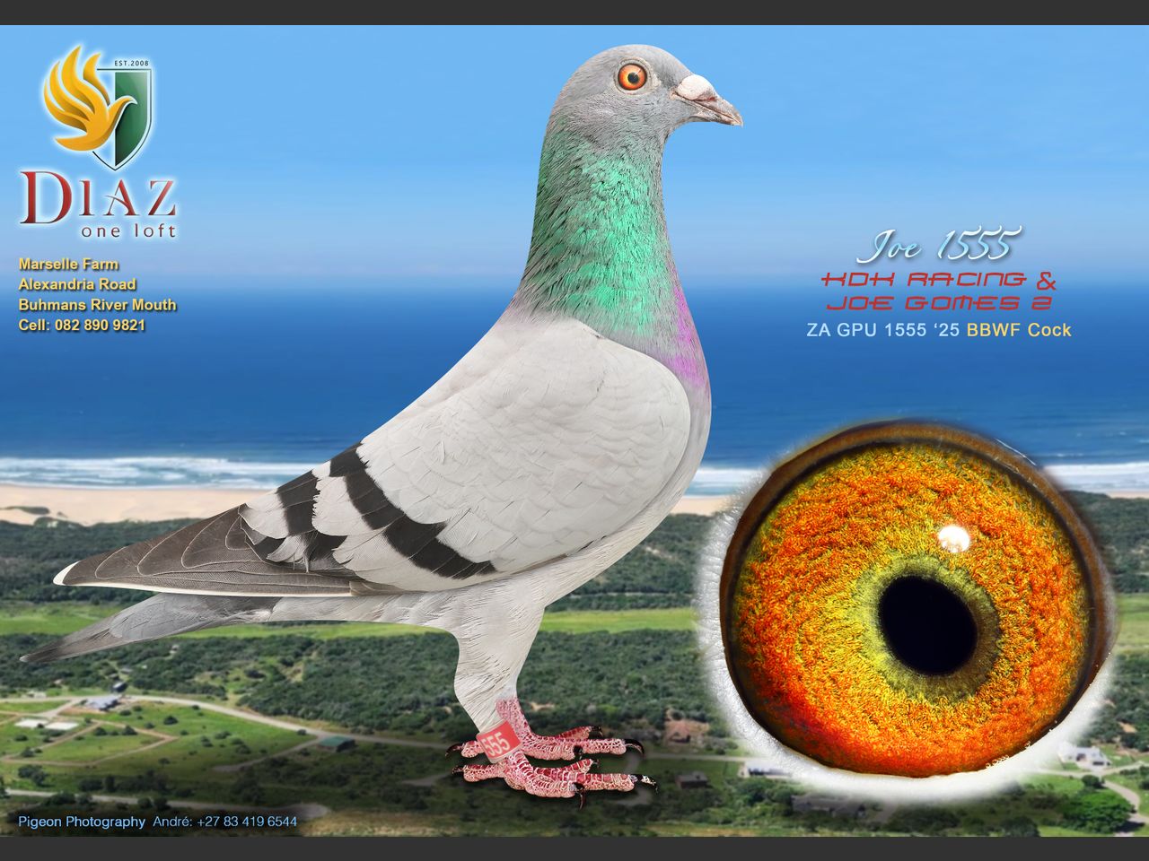 images
