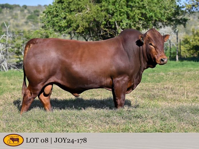 JOY240178 | FETTING LIVESTOCK TRUST