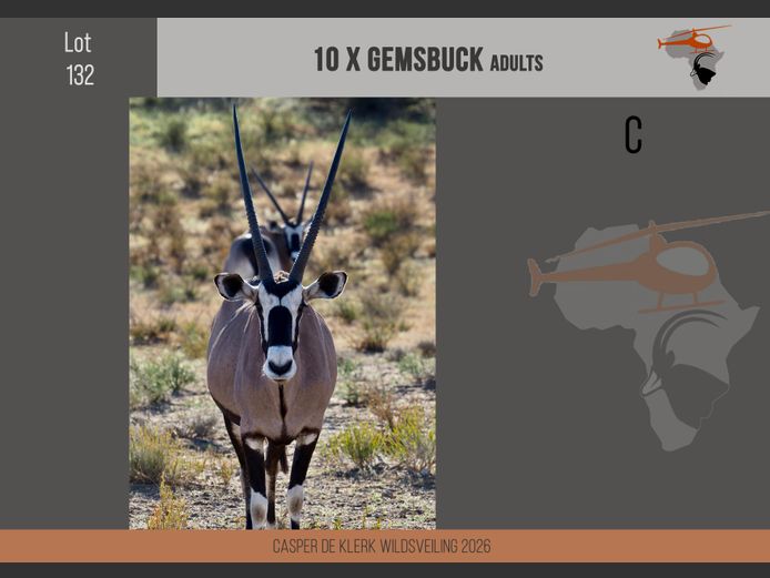 Gemsbuck