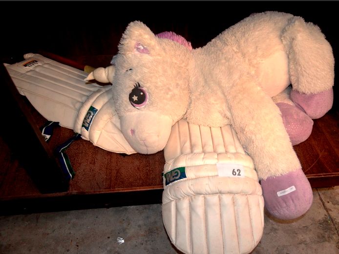 UNICORN SOFT TOY, CRICKET PADS, Etc
