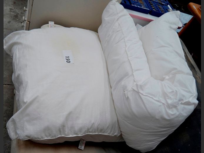 LOT: 2 x SCATTER CUSHIONS & A PILLOW
