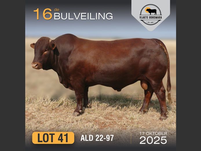 ALD 220097 | ALDIGO BONSMARAS