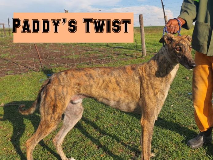 Paddy's Twist   (M)