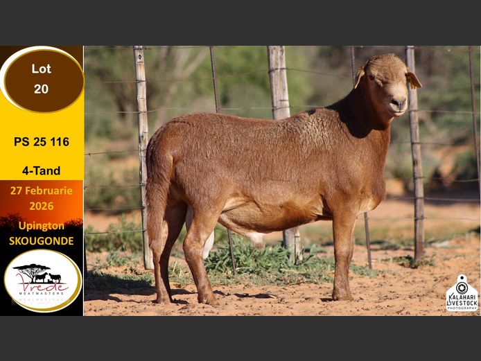 PS 25 116 | Peter & Christia Scholtz - Vrede Meatmasters