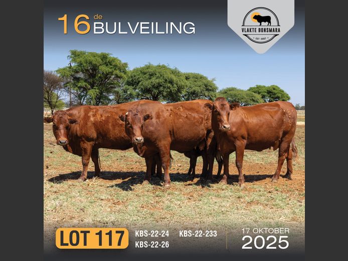 Commercial Animals | KAMEELDORING LANDGOED