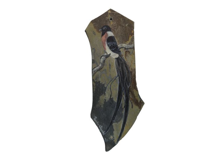 Hand-Painted "Paradise Whydah" Wildlife Study on Natural Slate Plaque by WB