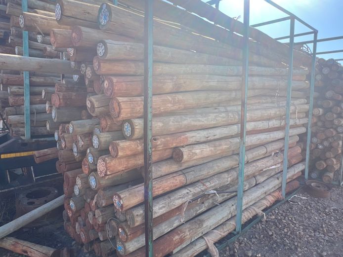Assorted Gum Poles (+-140)