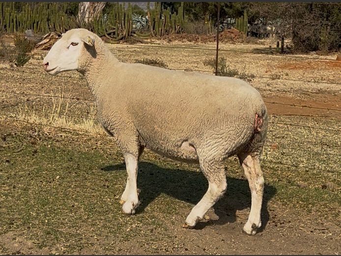 DH 230091 | HEYMAN DORMERS