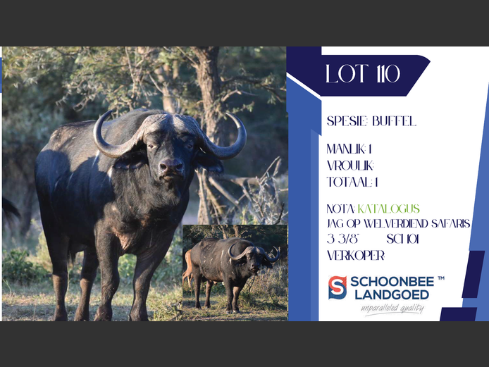 BUFFEL | SCHOONBEE LANDGOED