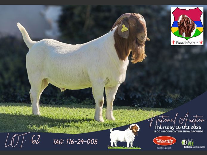 116-24-005 | SW Malan (Paardefontein)
