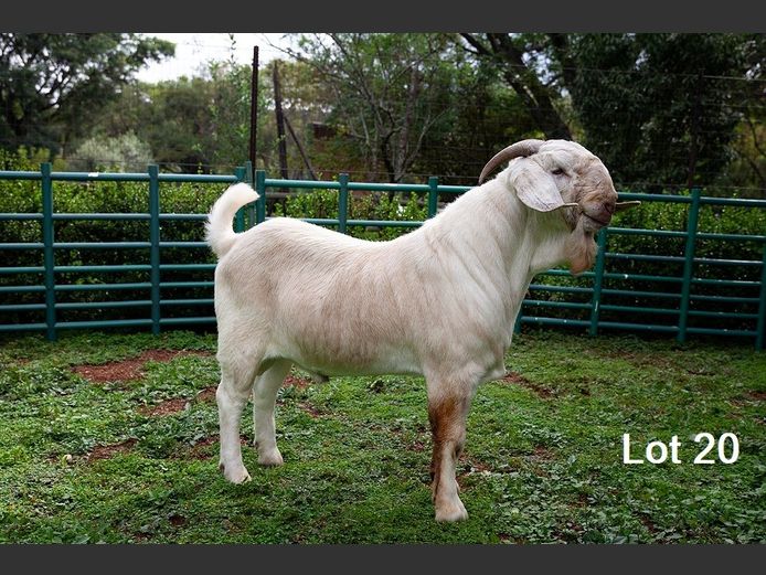 77 25 0118 | MNR. D.L. DU PLESSIS